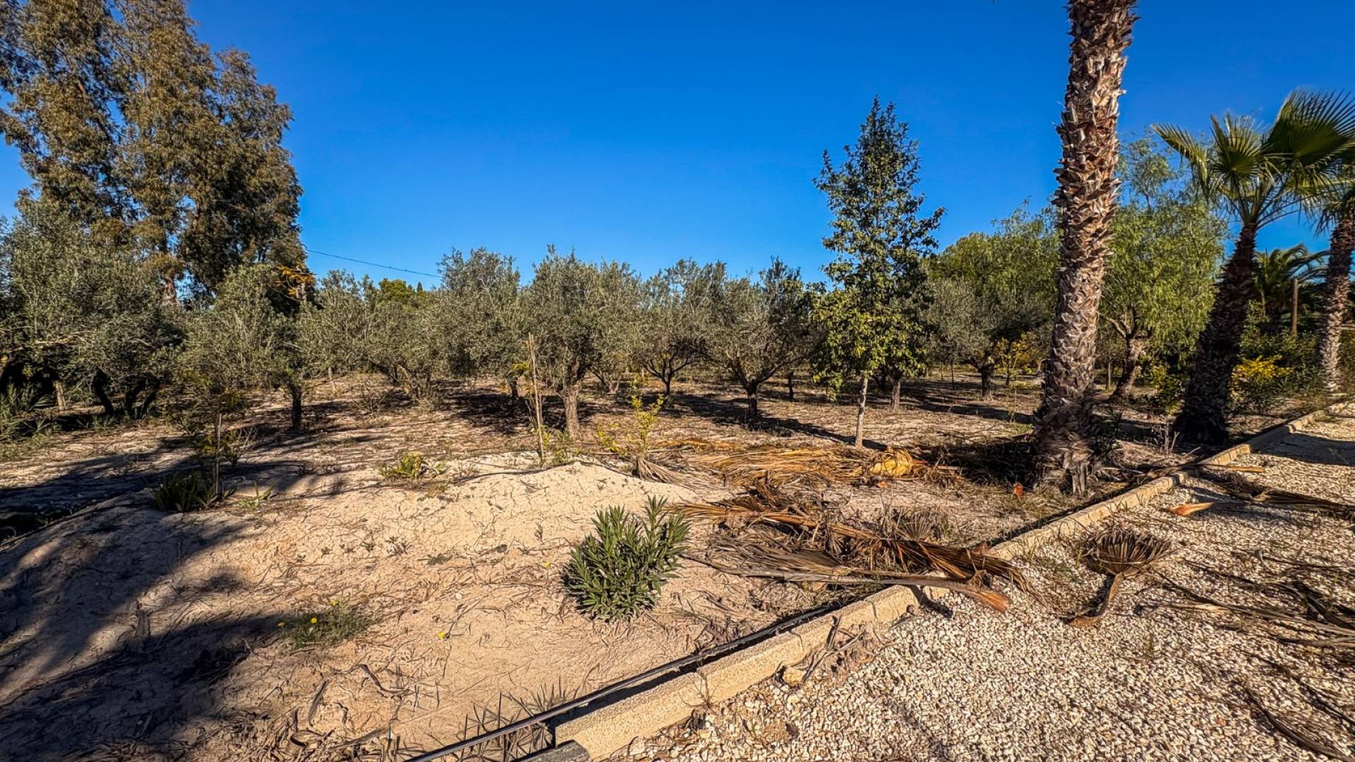 Second hand - Independent villa - Elche - Las Bayas