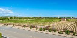 Second hand - Independent villa - Guardamar del Segura - El Raso