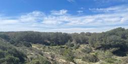 Second hand - Independent villa - Guardamar del Segura - Valencian Community