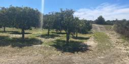 Second hand - Independent villa - Guardamar del Segura - Valencian Community