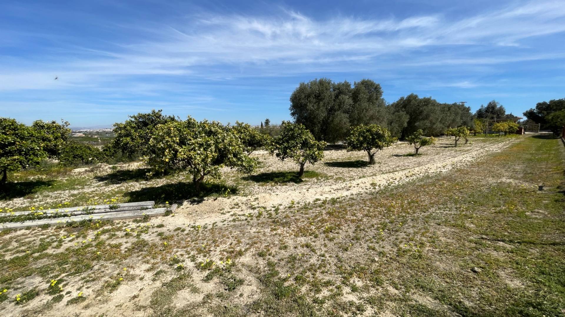 Second hand - Independent villa - Guardamar del Segura - Valencian Community