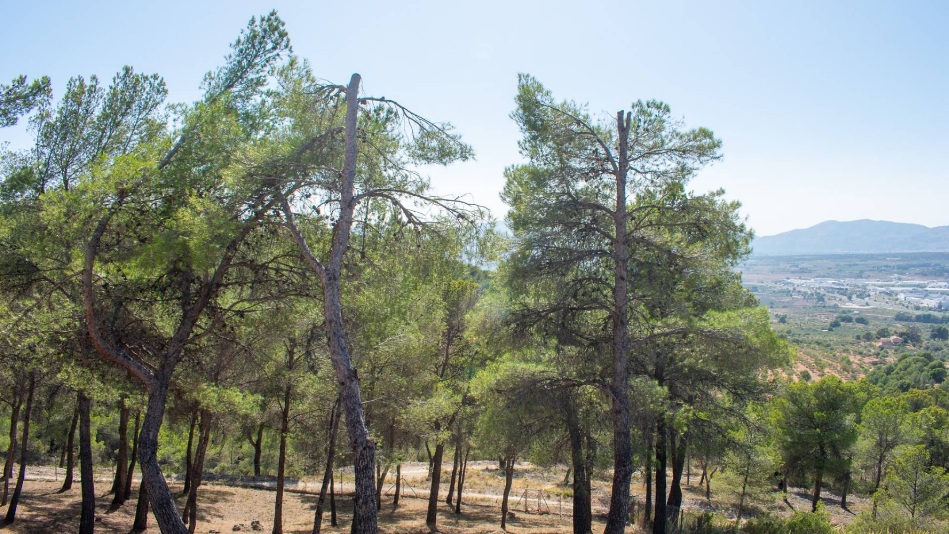 Second hand - Independent villa - Ibi