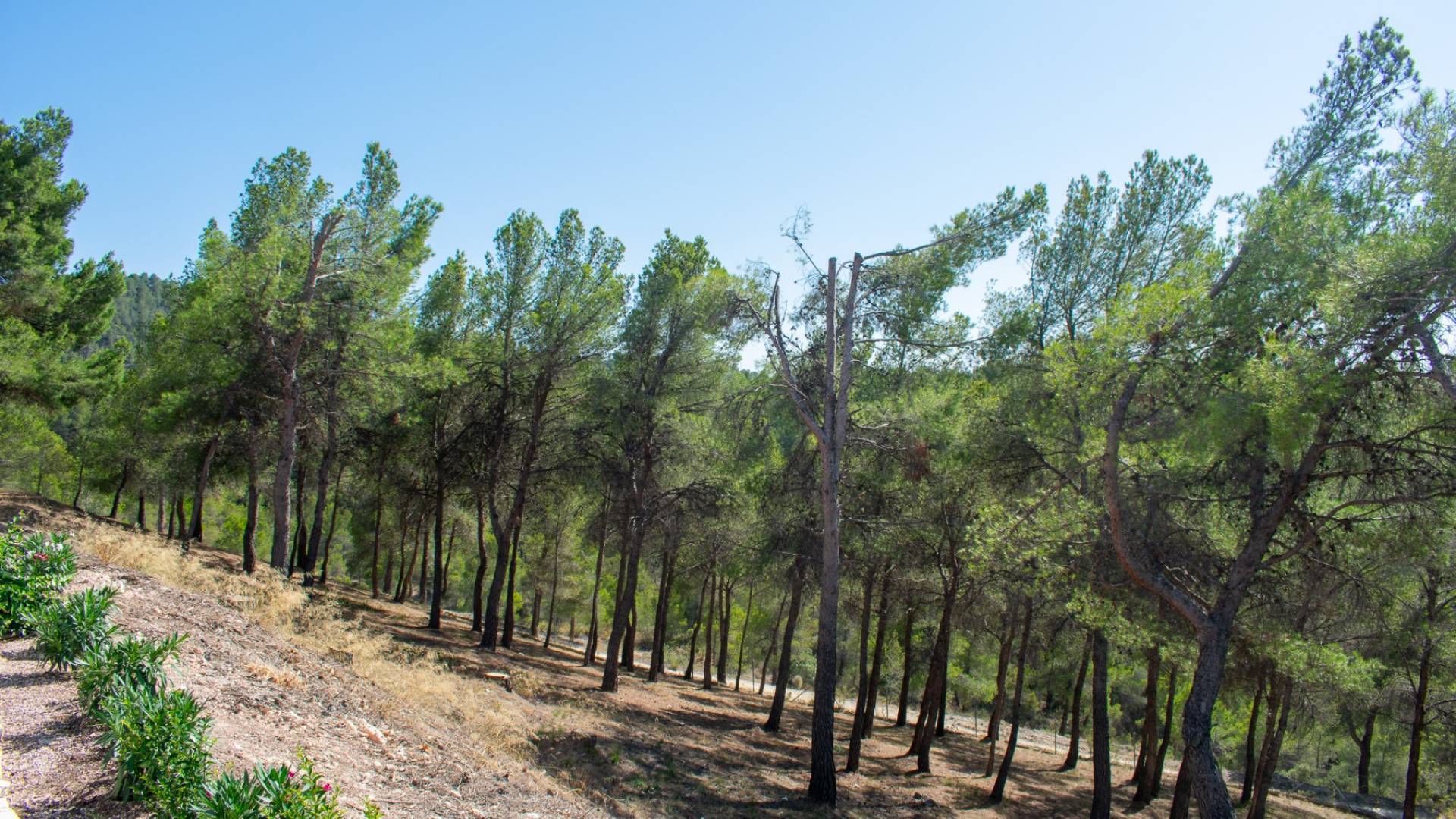 Second hand - Independent villa - Ibi