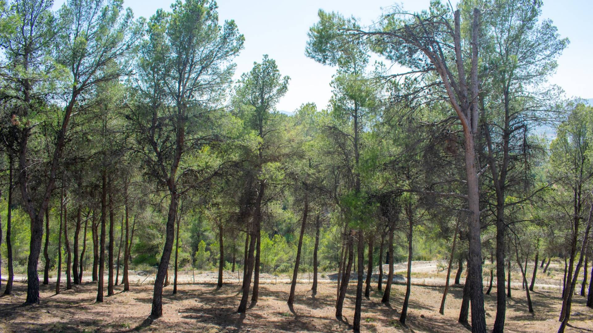 Second hand - Independent villa - Ibi