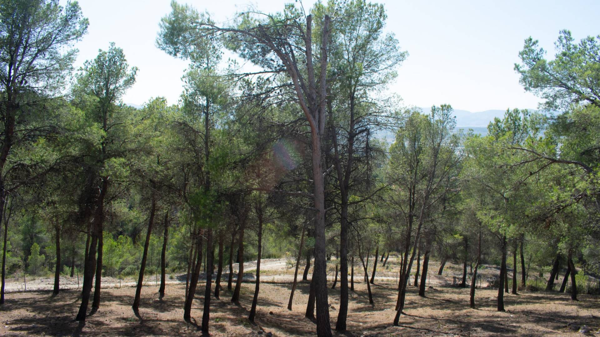 Second hand - Independent villa - Ibi