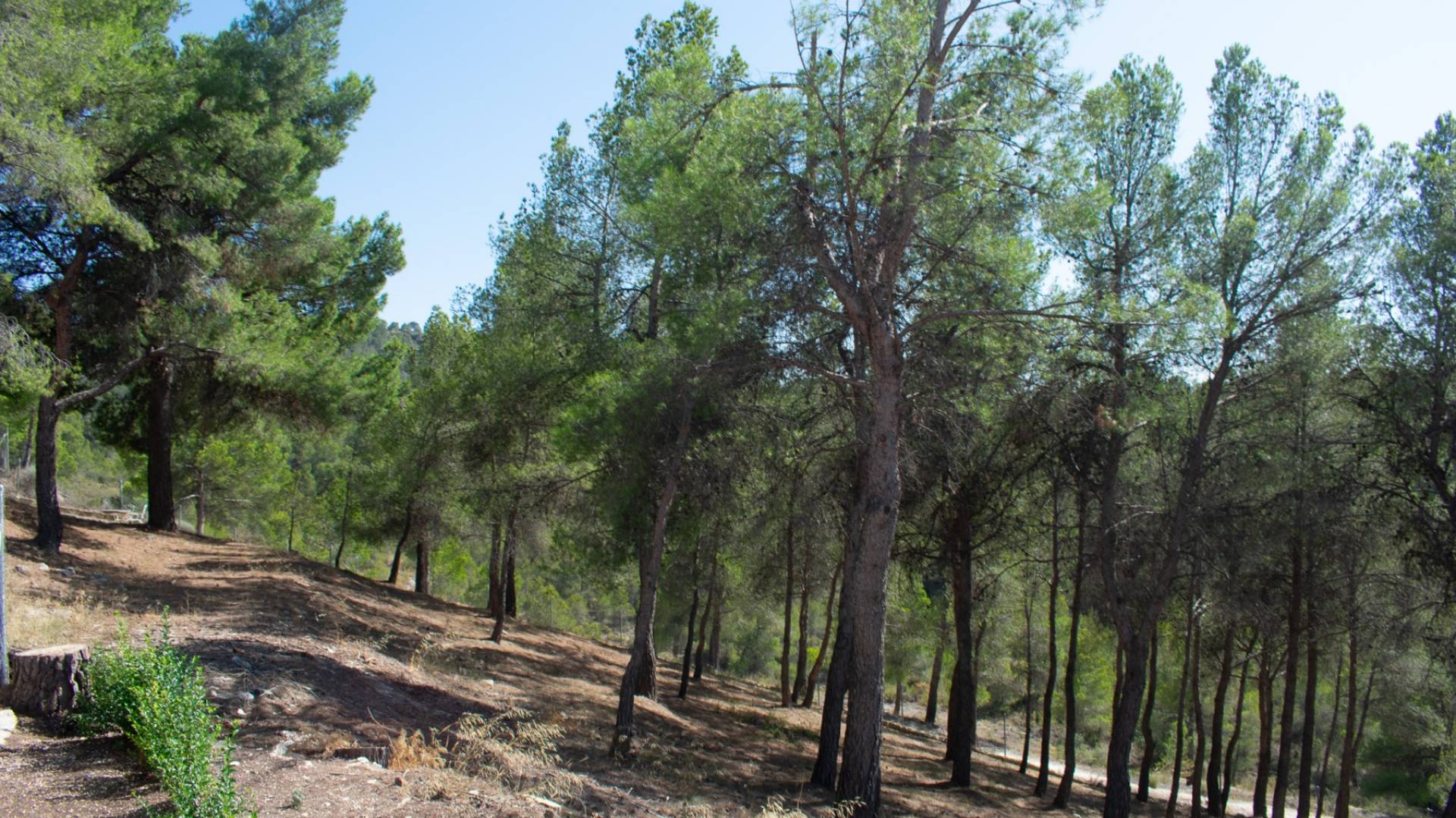 Second hand - Independent villa - Ibi