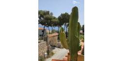 Second hand - Independent villa - Jávea - Balcón al mar - Cap Martí