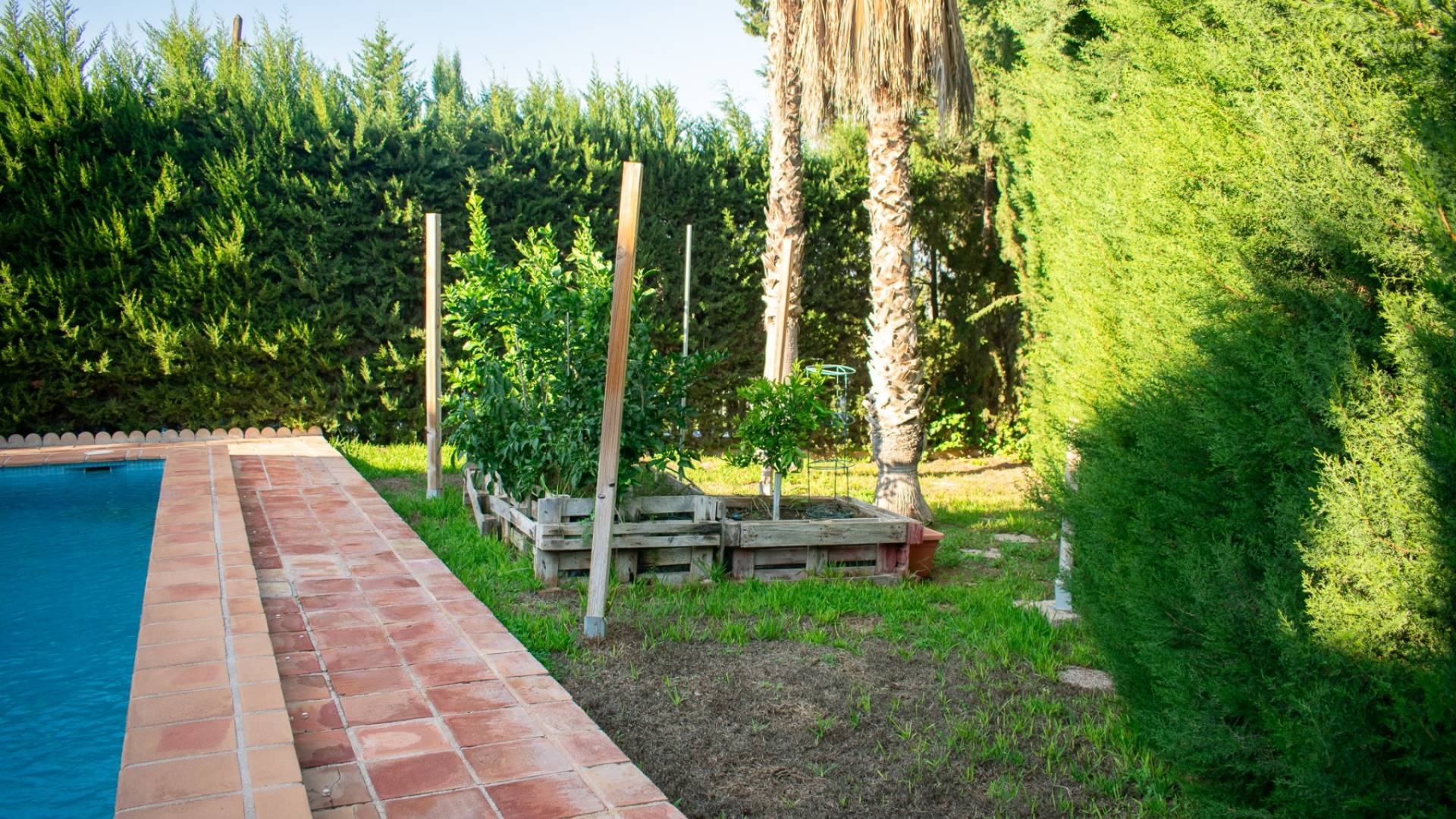 Second hand - Independent villa - Molina de Segura - Torre de Cotillas