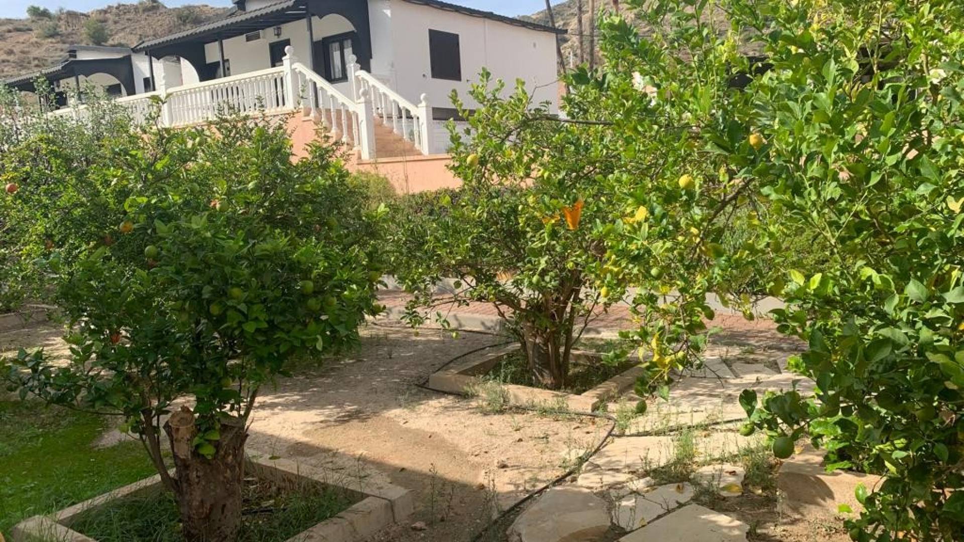 Second hand - Independent villa - Novelda