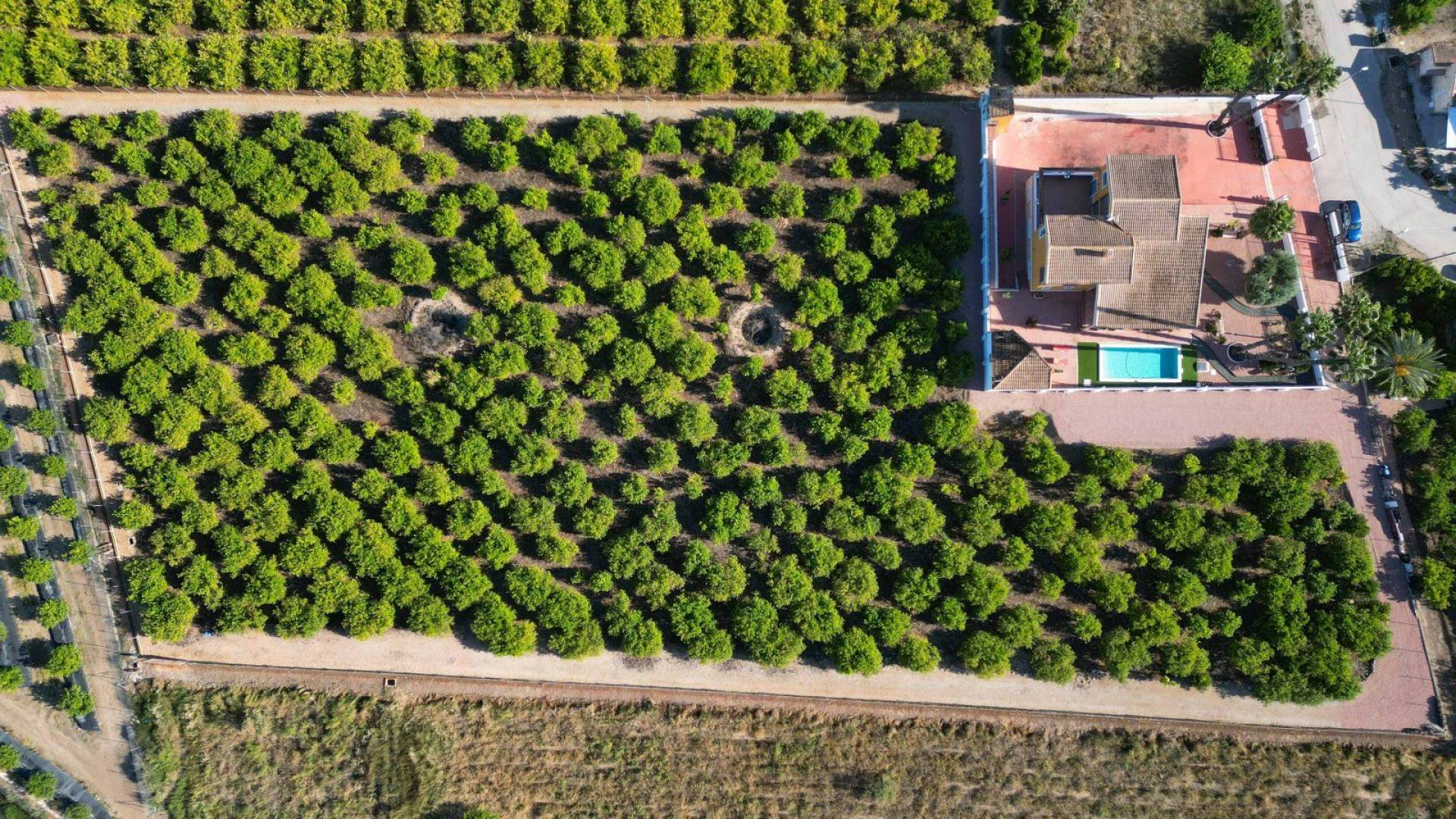Second hand - Independent villa - Orihuela - Correntías Medias