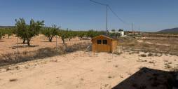 Second hand - Independent villa - Pinoso