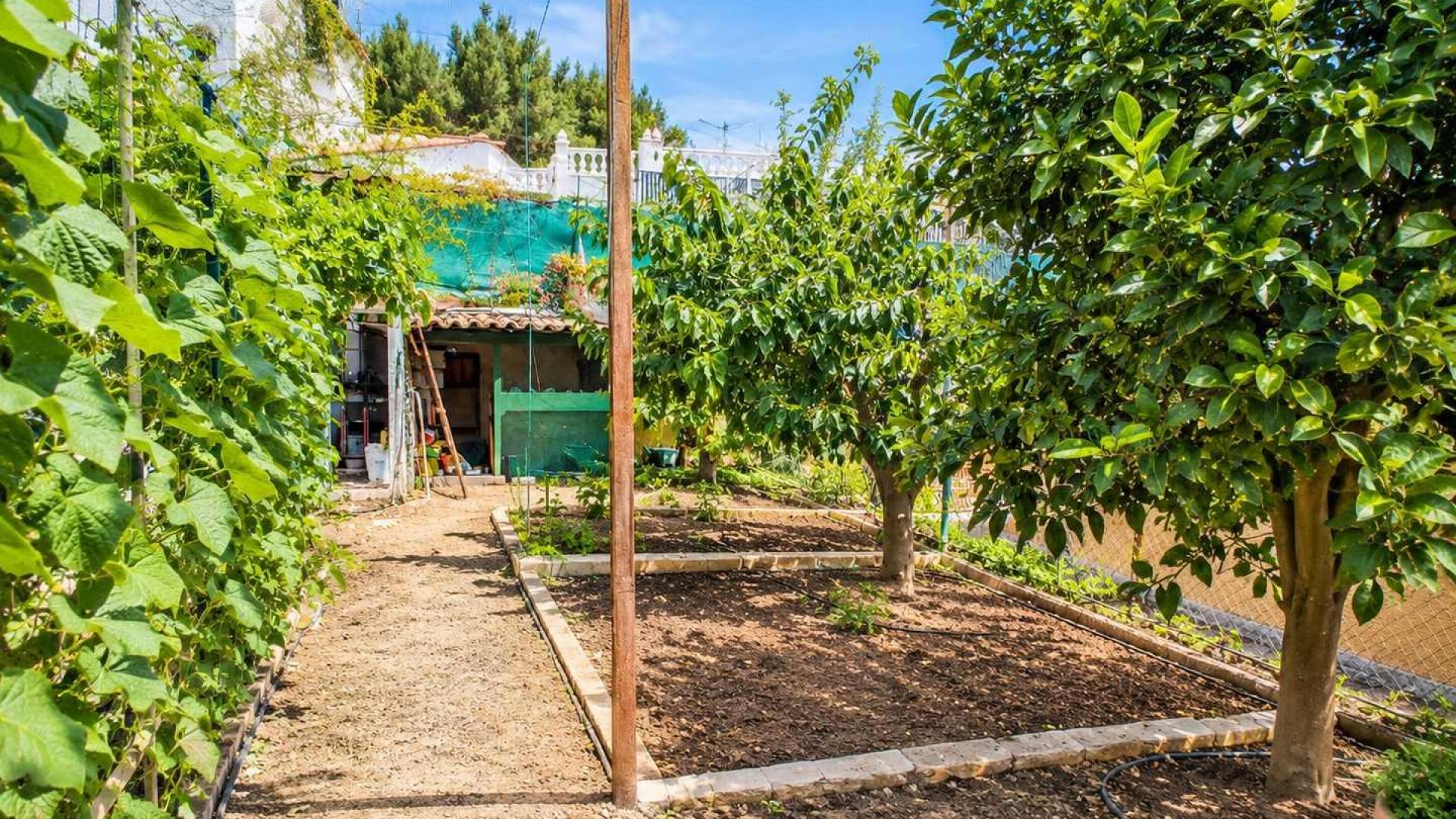 Second hand - Independent villa - San Miguel de Salinas - Ciudad de las comunicaciones
