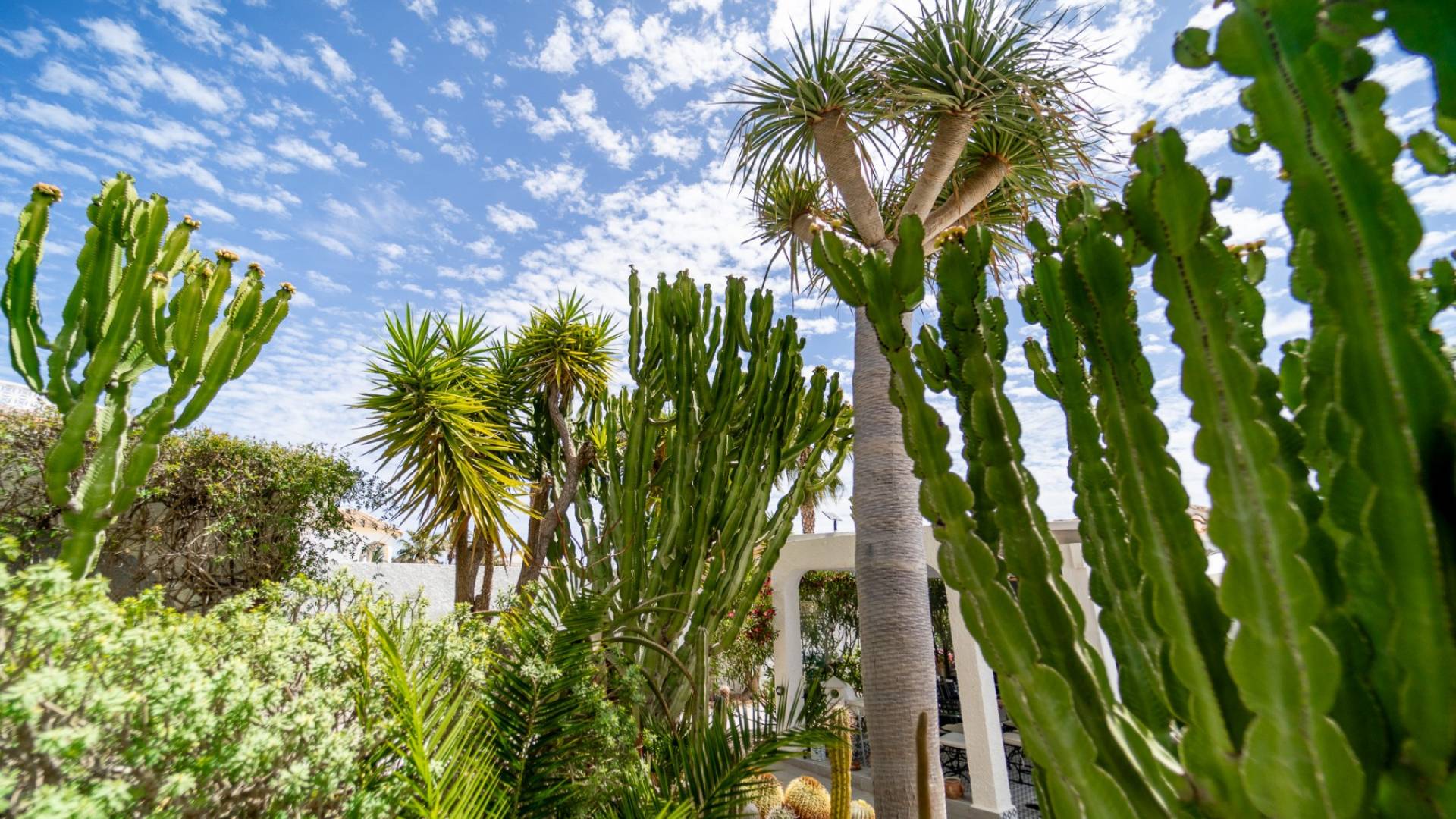 Second hand - Independent villa - Torrevieja - La Siesta - El Salado - Torreta