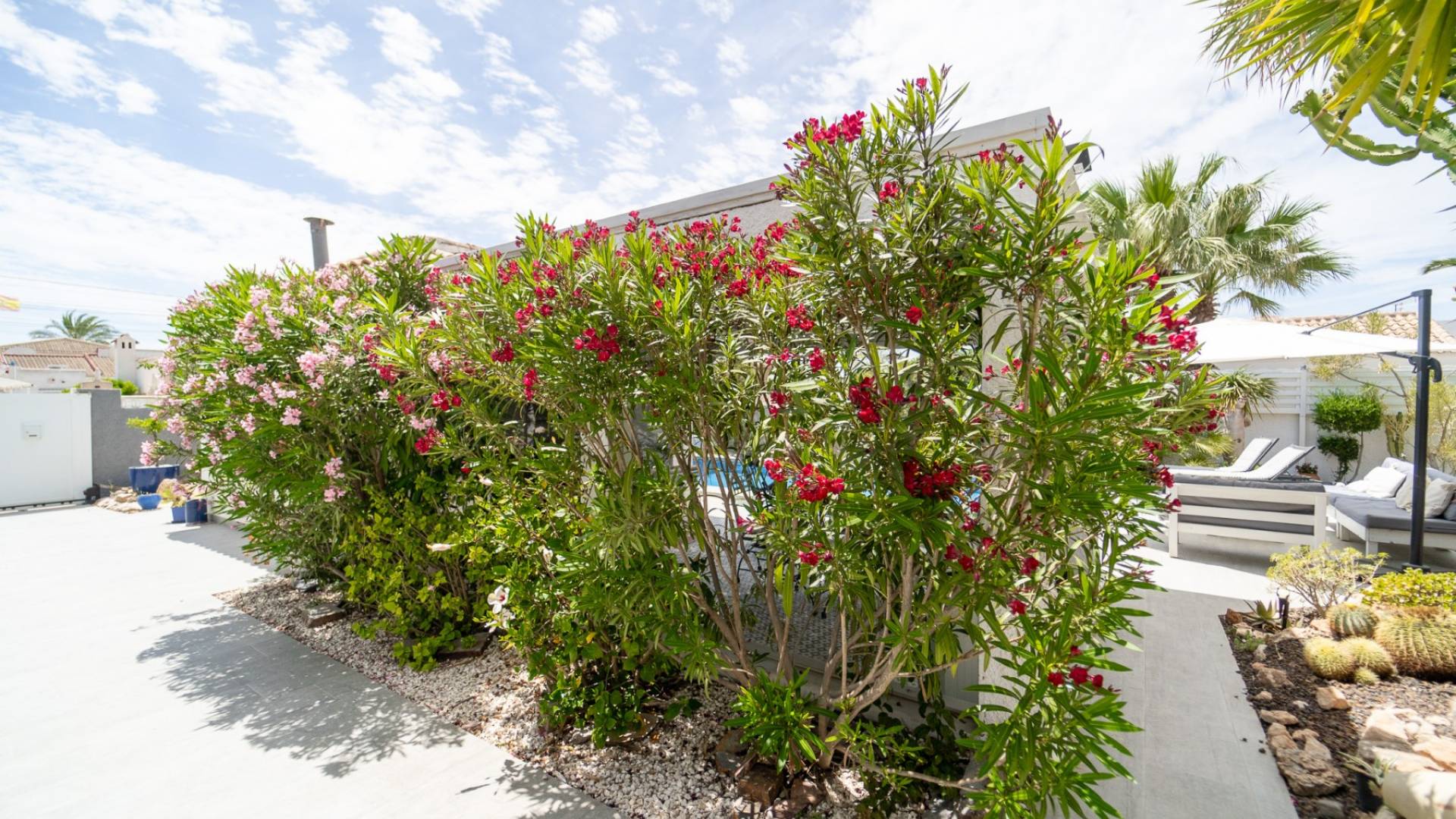 Second hand - Independent villa - Torrevieja - La Siesta - El Salado - Torreta