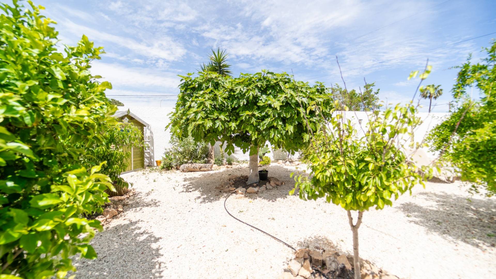 Second hand - Independent villa - Torrevieja - La Siesta - El Salado - Torreta