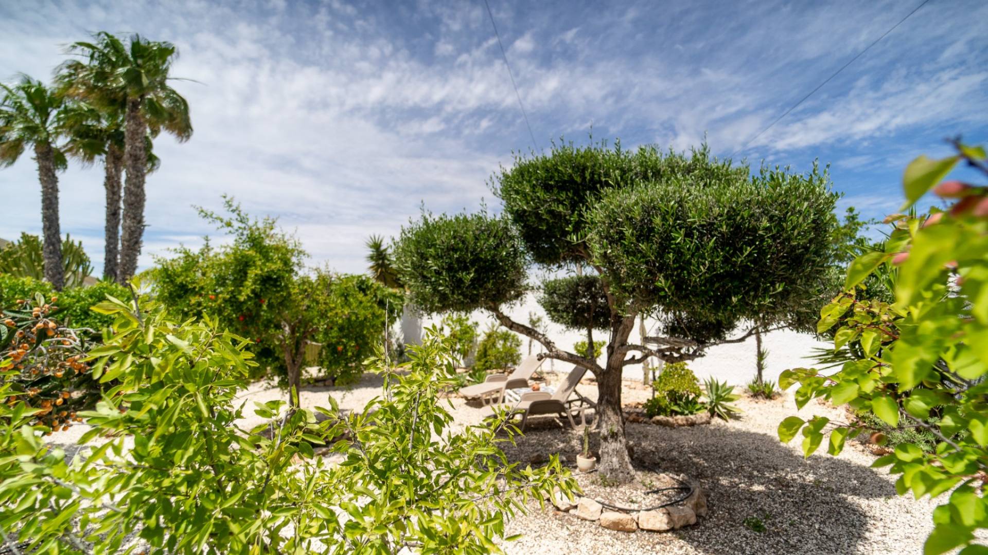 Second hand - Independent villa - Torrevieja - La Siesta - El Salado - Torreta