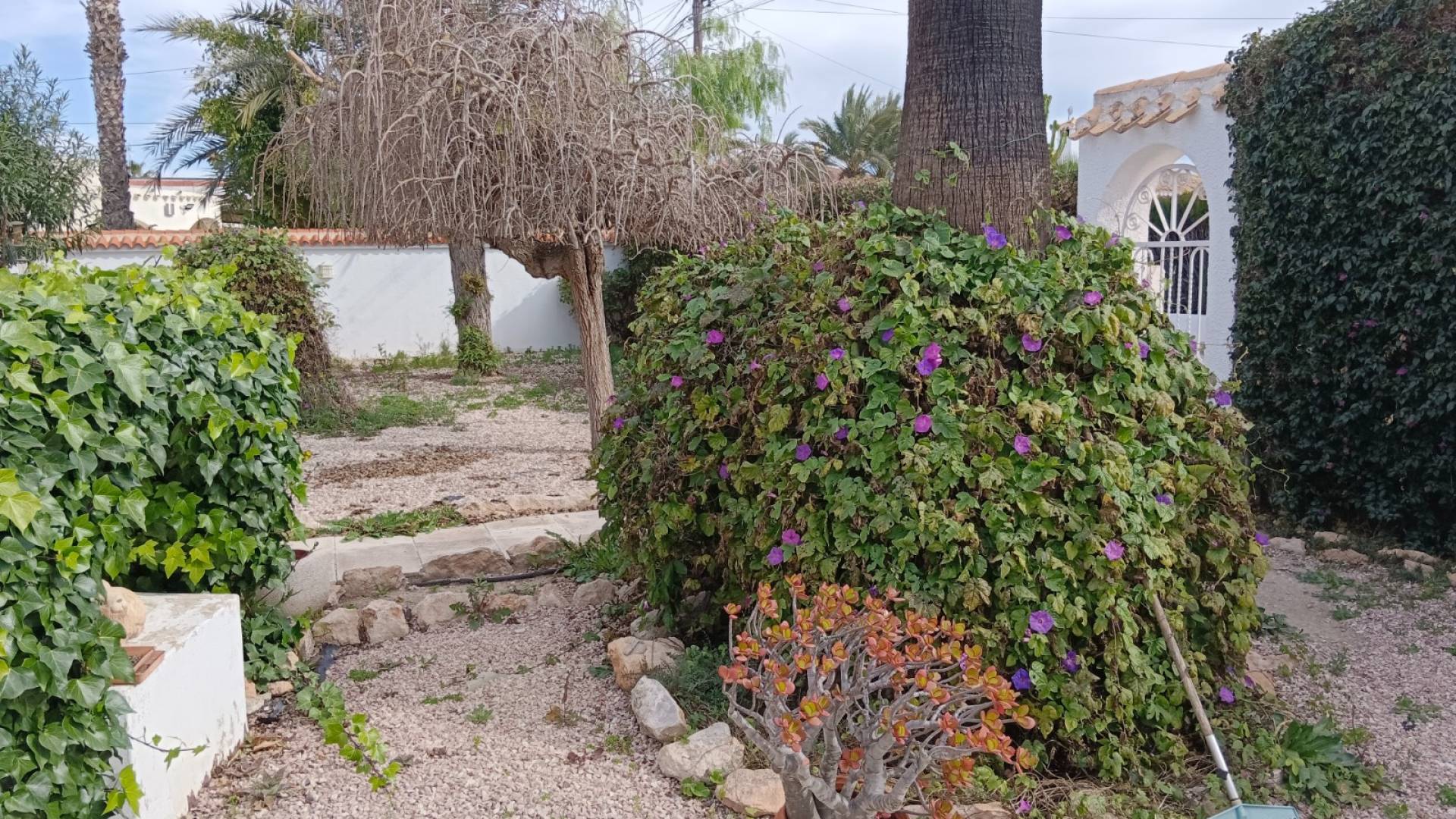 Second hand - Independent villa - Torrevieja - La Siesta - El Salado -  Torreta