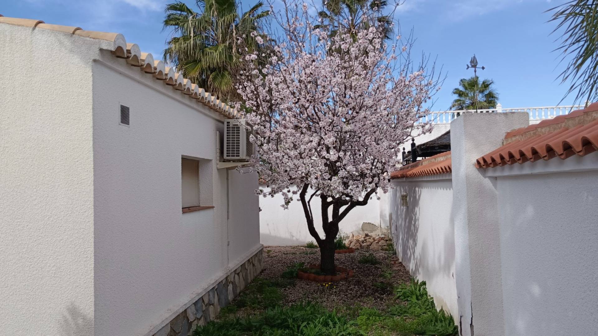 Second hand - Independent villa - Torrevieja - La Siesta - El Salado -  Torreta