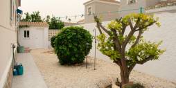 Second hand - Independent villa - Torrevieja