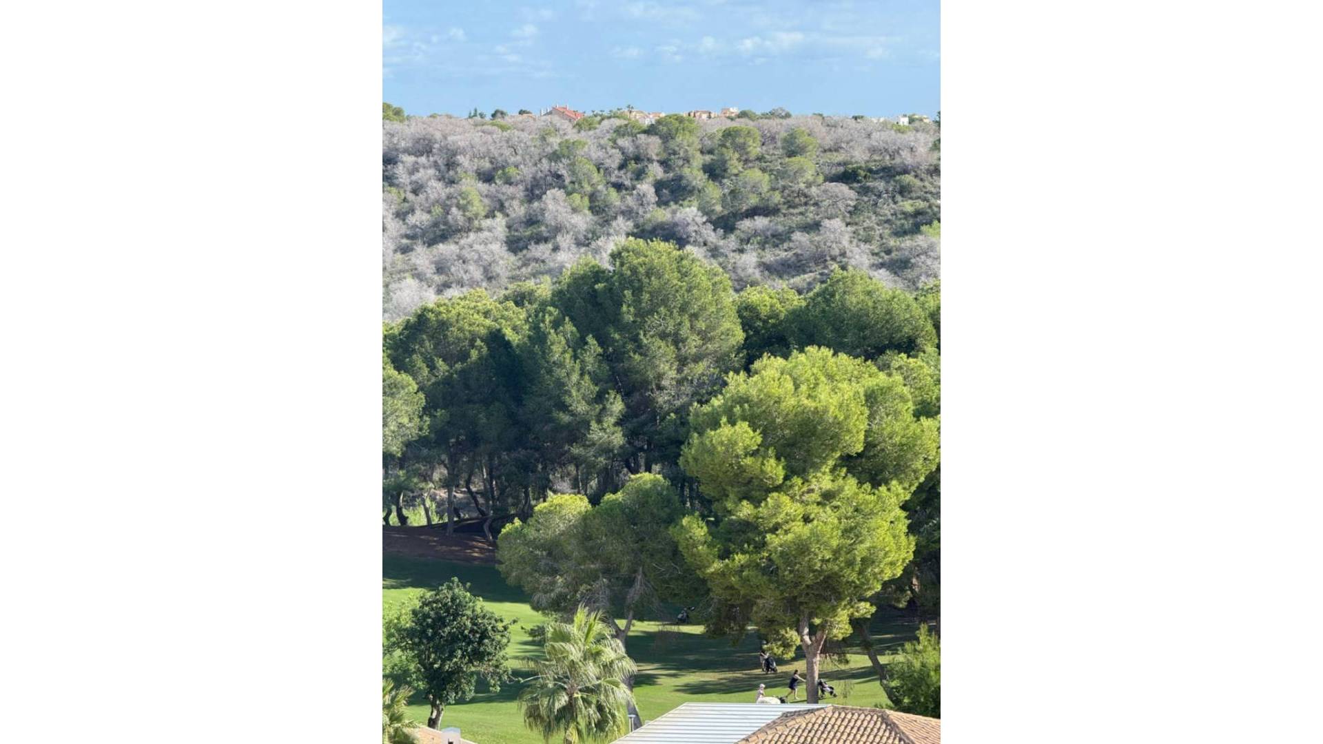 Second hand - Penthouse - Orihuela - Las Ramblas