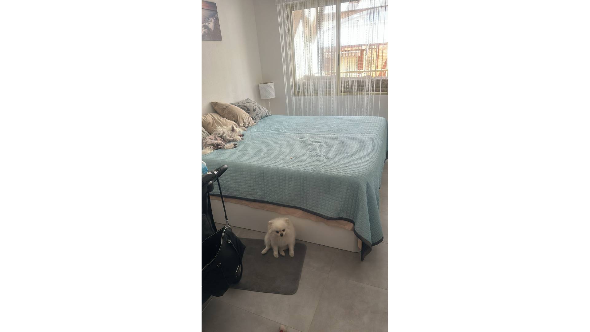 Second hand - Penthouse - Torrevieja - Playa de los Locos