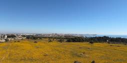 Second hand - Penthouse - Torrevieja - Punta Prima