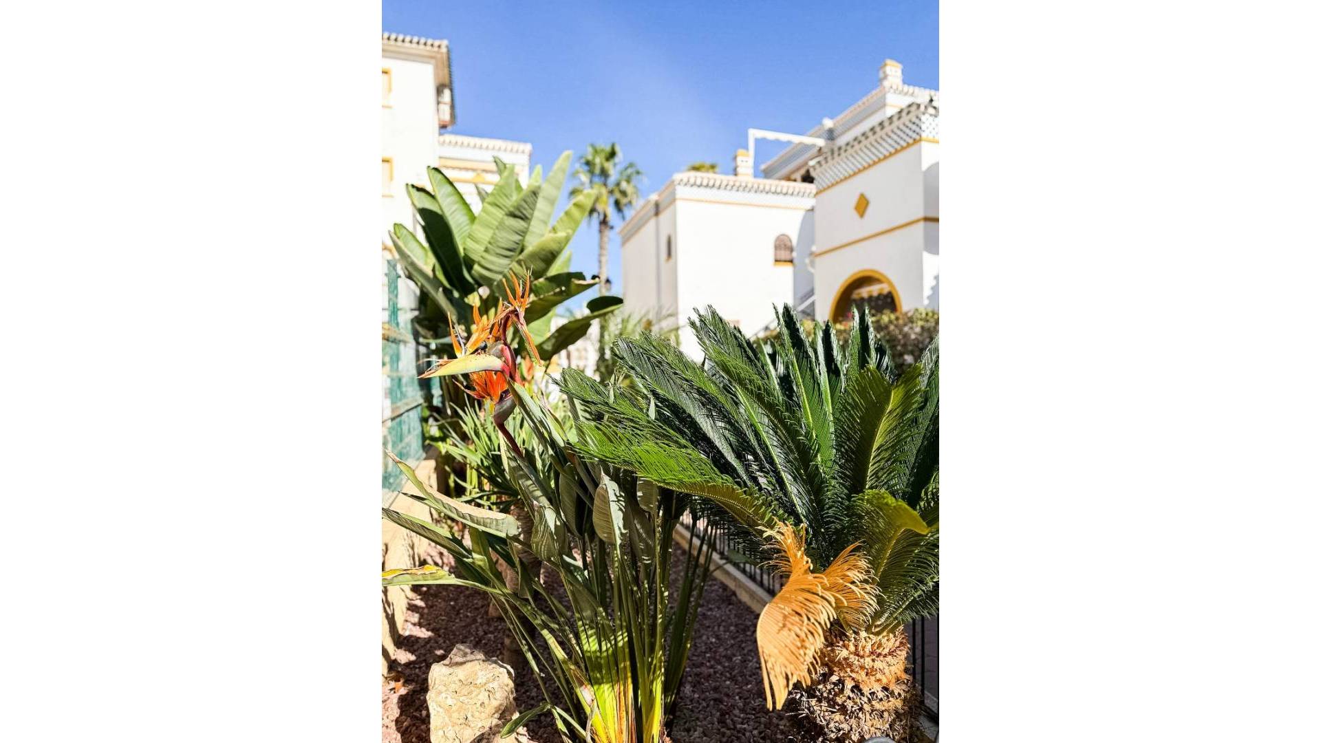 Second hand - Penthouse - Torrevieja - Torrelamata - La Mata