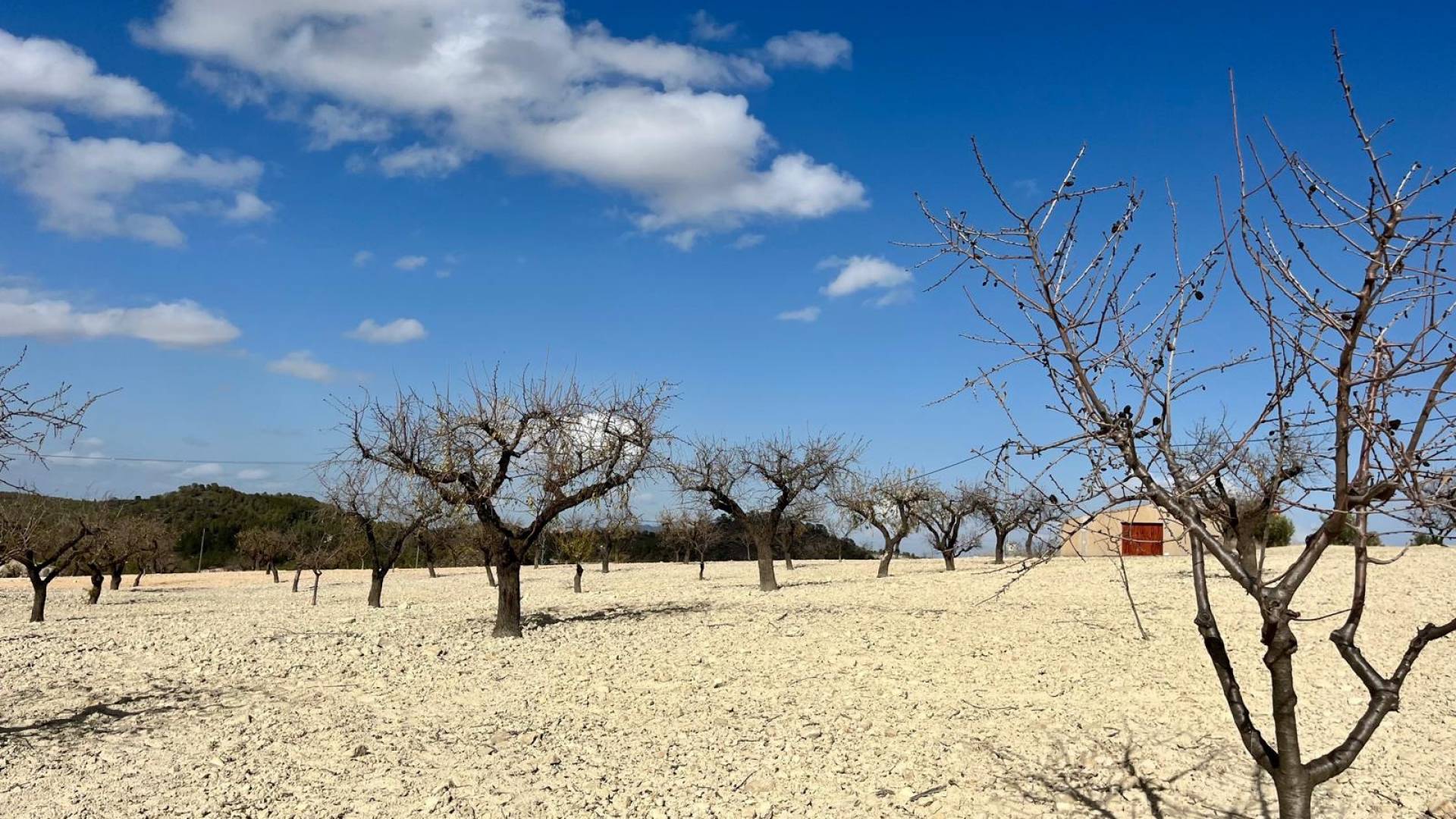 Second hand - Plot - Bullas - Costa Calida