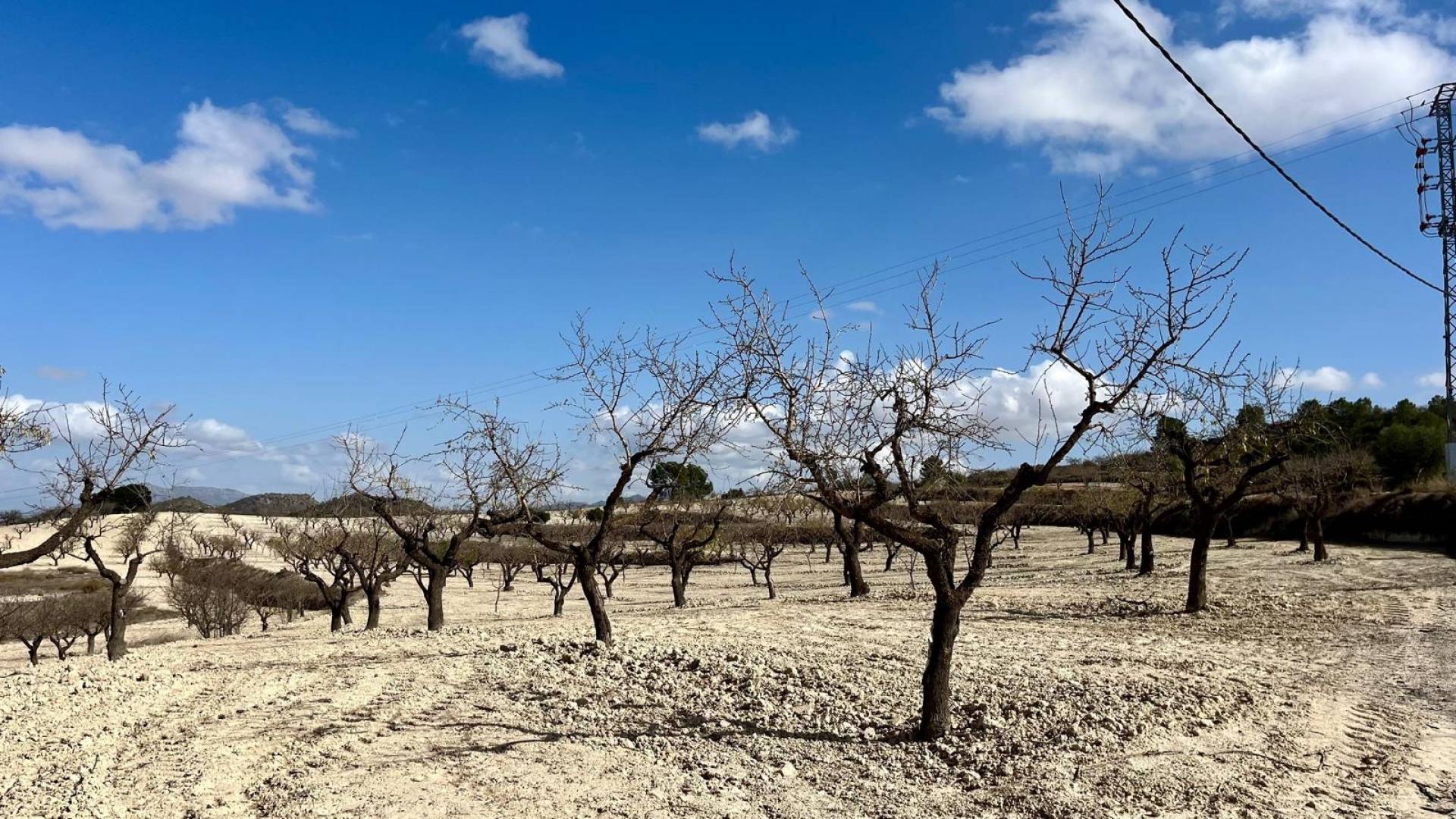 Second hand - Plot - Bullas - Costa Calida