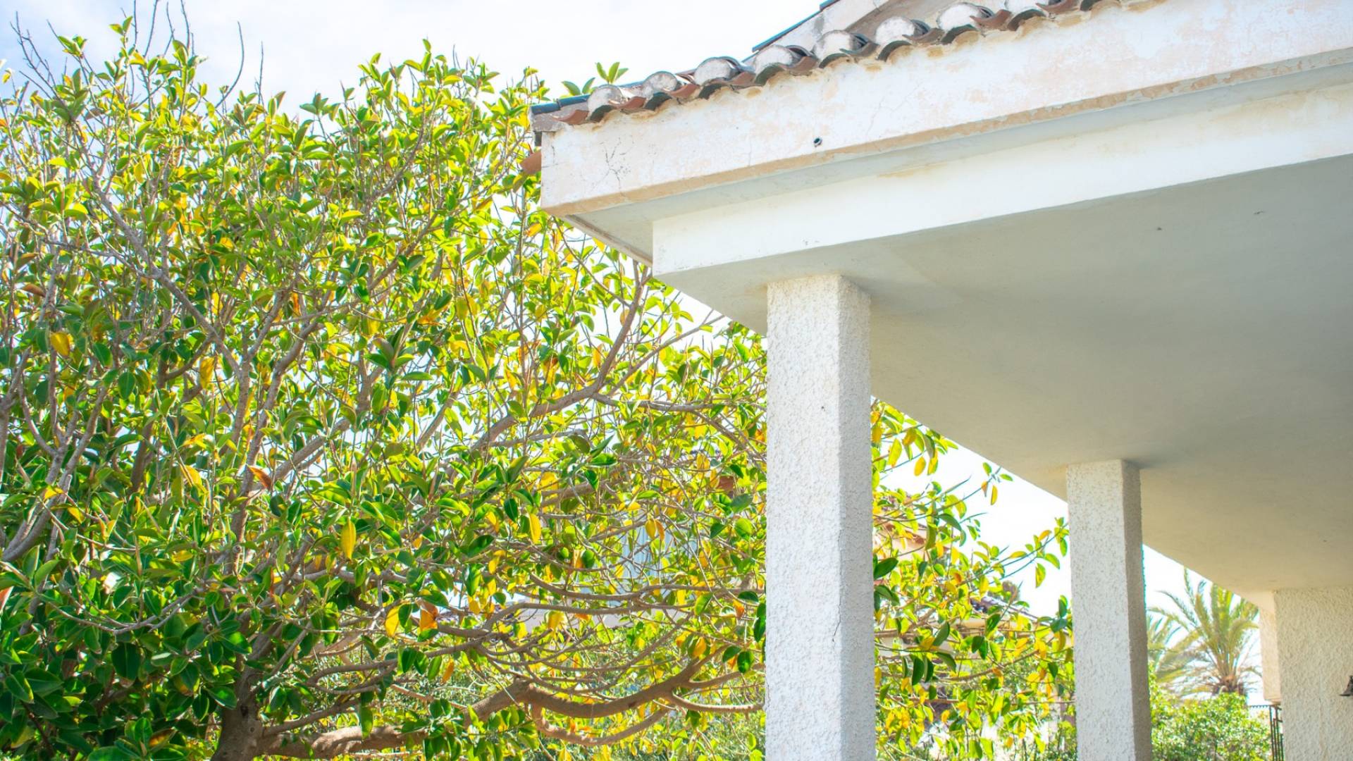 Second hand - Plot - Orihuela Costa - Cabo Roig