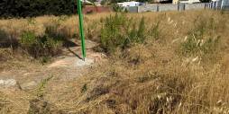 Second hand - Plot - Orihuela Costa - La Regia