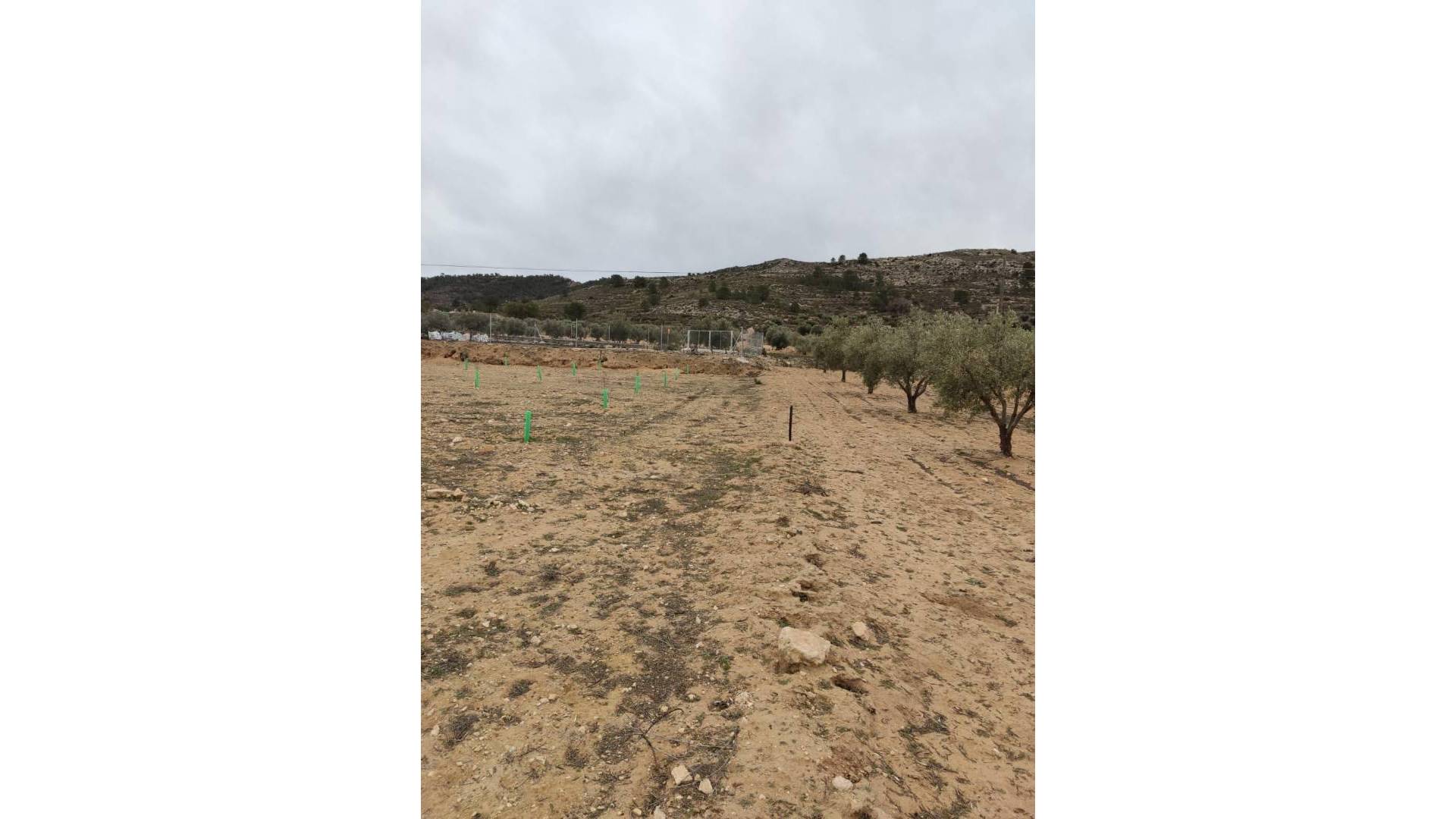 Second hand - Plot - Villena - Cabanes Y Las Fuentes