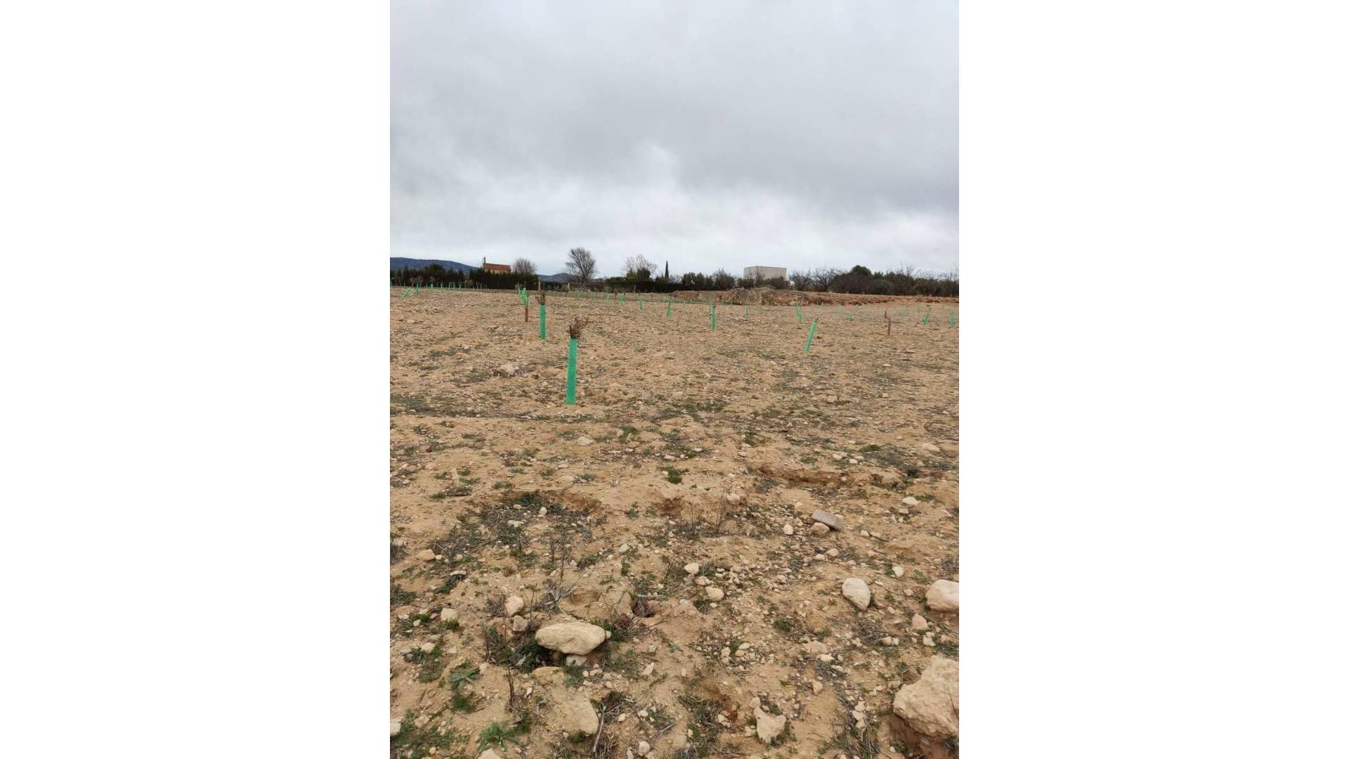 Second hand - Plot - Villena - Cabanes Y Las Fuentes