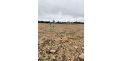 Second hand - Plot - Villena - Cabanes Y Las Fuentes