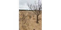 Second hand - Plot - Villena - Cabanes Y Las Fuentes