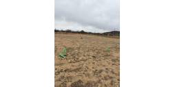 Second hand - Plot - Villena - Cabanes Y Las Fuentes