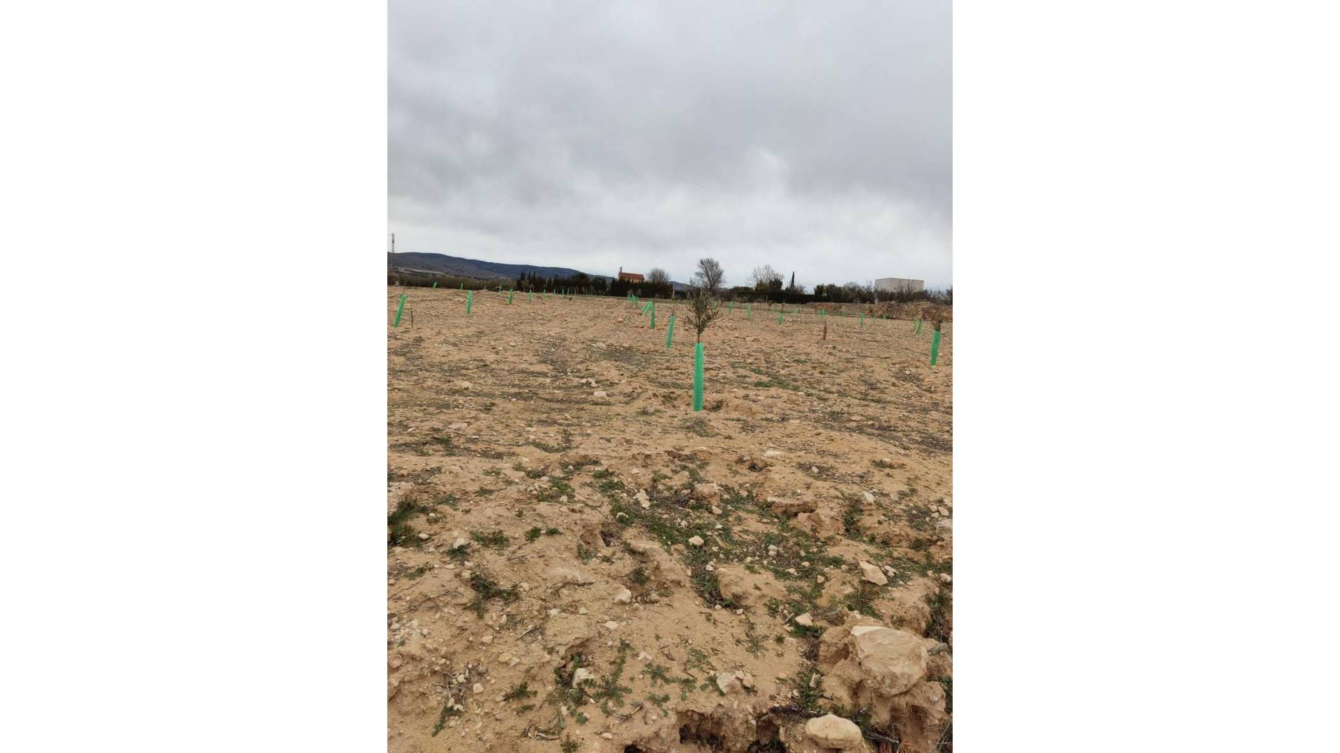 Second hand - Plot - Villena - Cabanes Y Las Fuentes