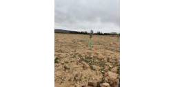 Second hand - Plot - Villena - Cabanes Y Las Fuentes
