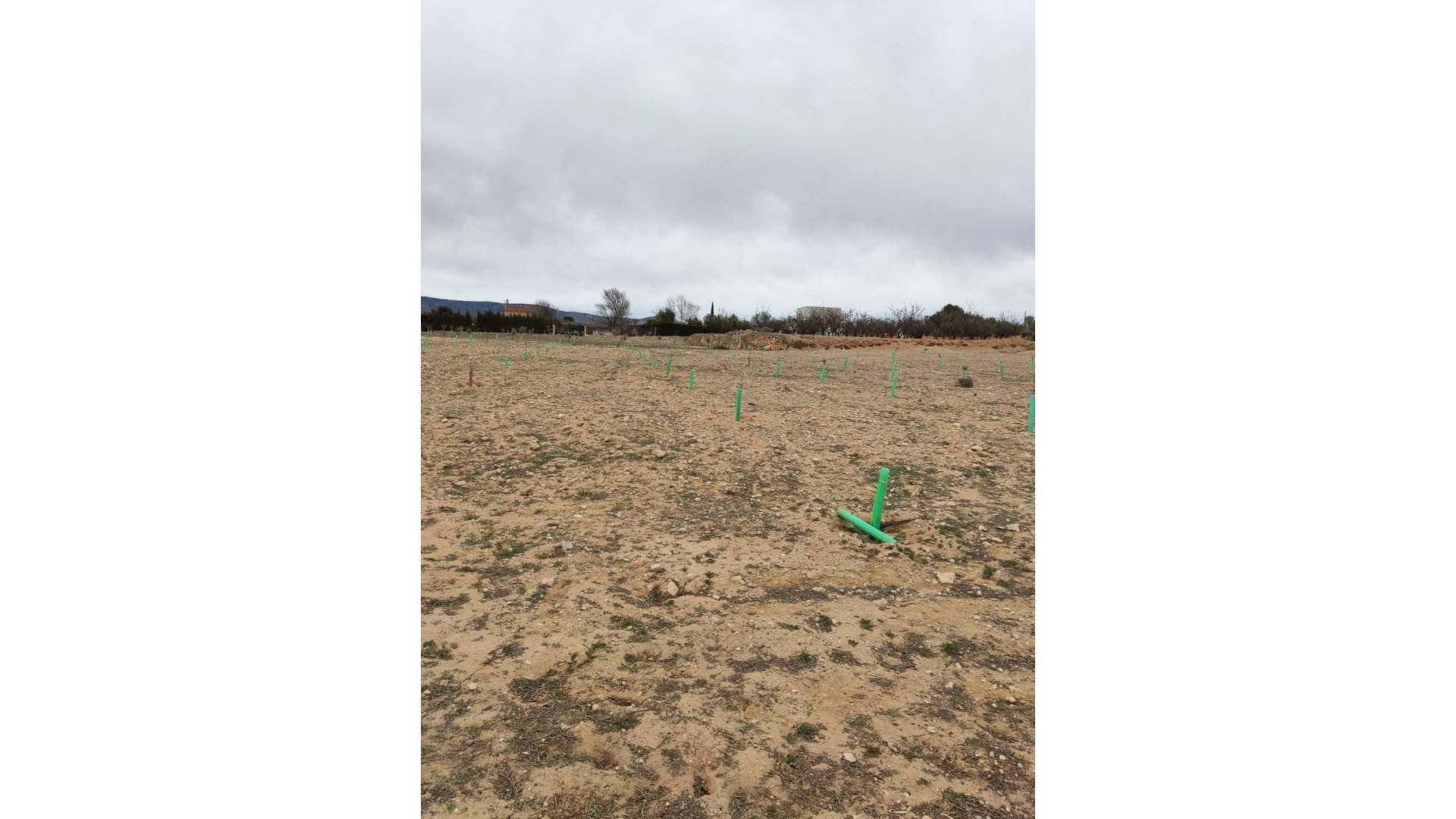 Second hand - Plot - Villena - Cabanes Y Las Fuentes