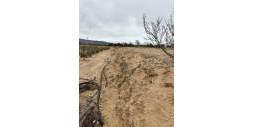 Second hand - Plot - Villena - Cabanes Y Las Fuentes