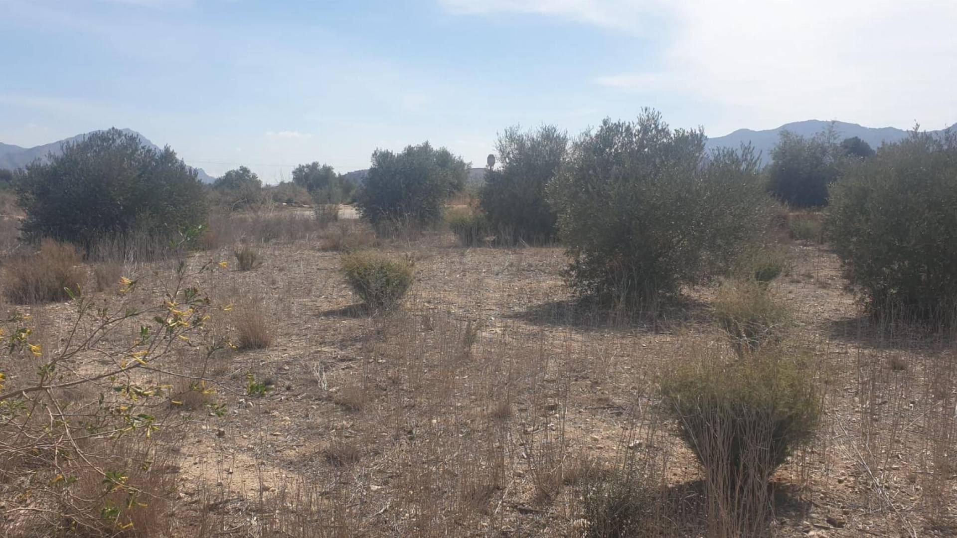Second hand - Terreno - Benferri - HUERTA PUEBLO