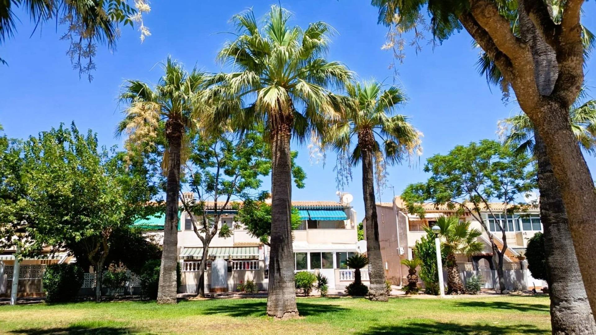 Second hand - Townhouse - Orihuela Costa - La Regia