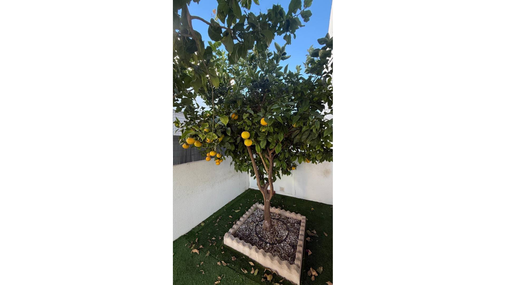 Second hand - Townhouse - Torrevieja - Aguas Nuevas
