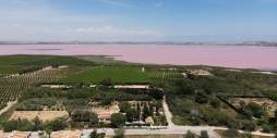 Second hand - Townhouse - Torrevieja - Lago jardin