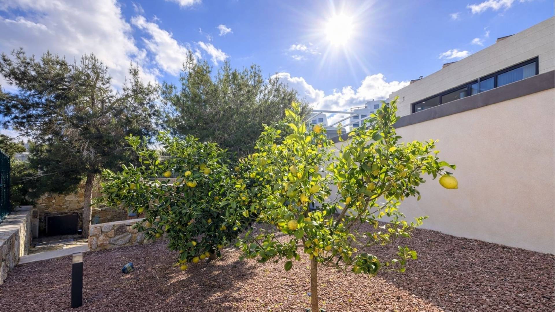 Second hand - Villa - Detached - Las Colinas - Las Colinas Golf