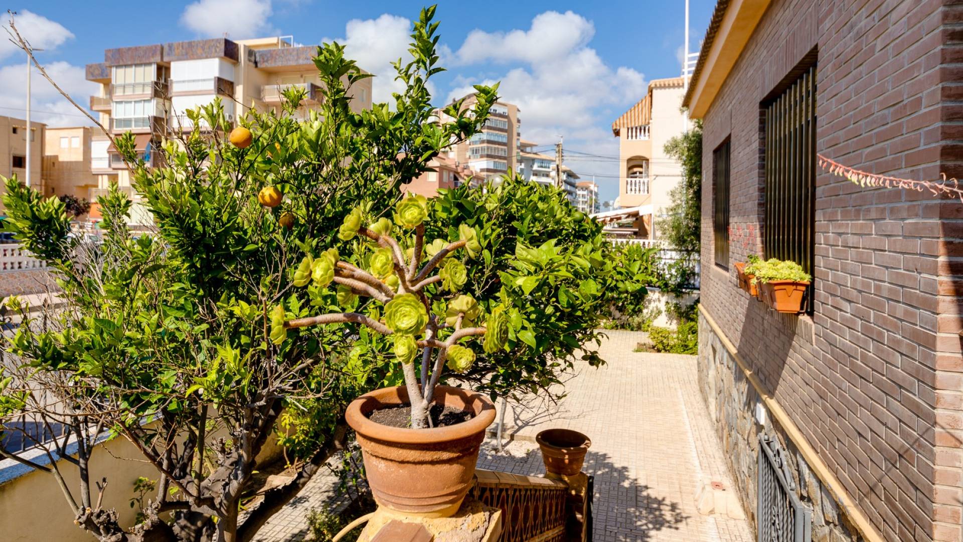 Second hand - Villa - Detached - Torrevieja - La Mata