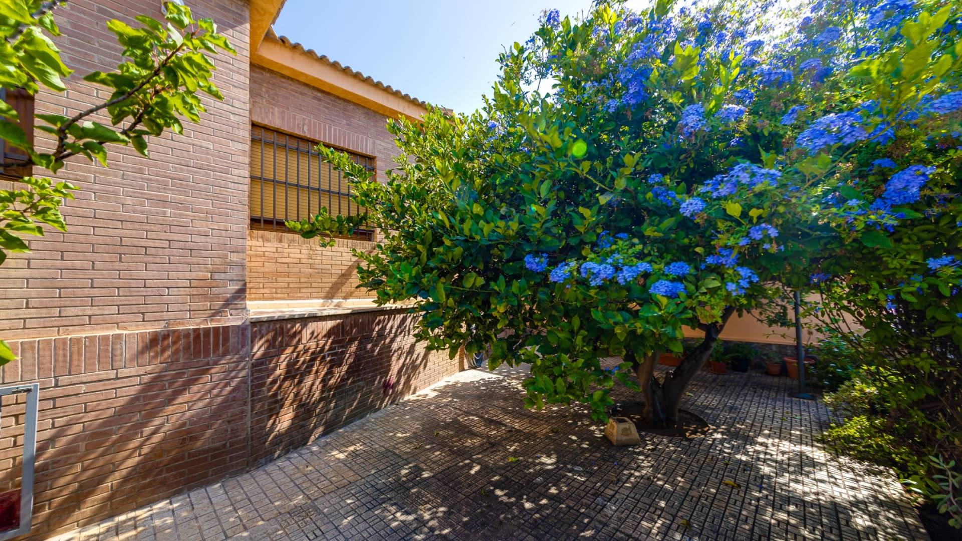 Second hand - Villa - Detached - Torrevieja - La Mata