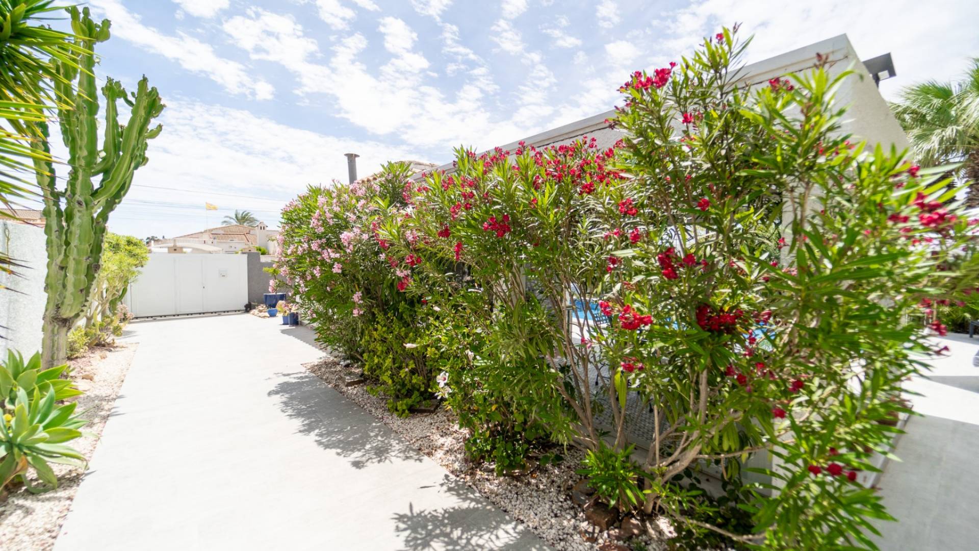 Second hand - Villa - Detached - Torrevieja - La Siesta - El Salado - Torreta