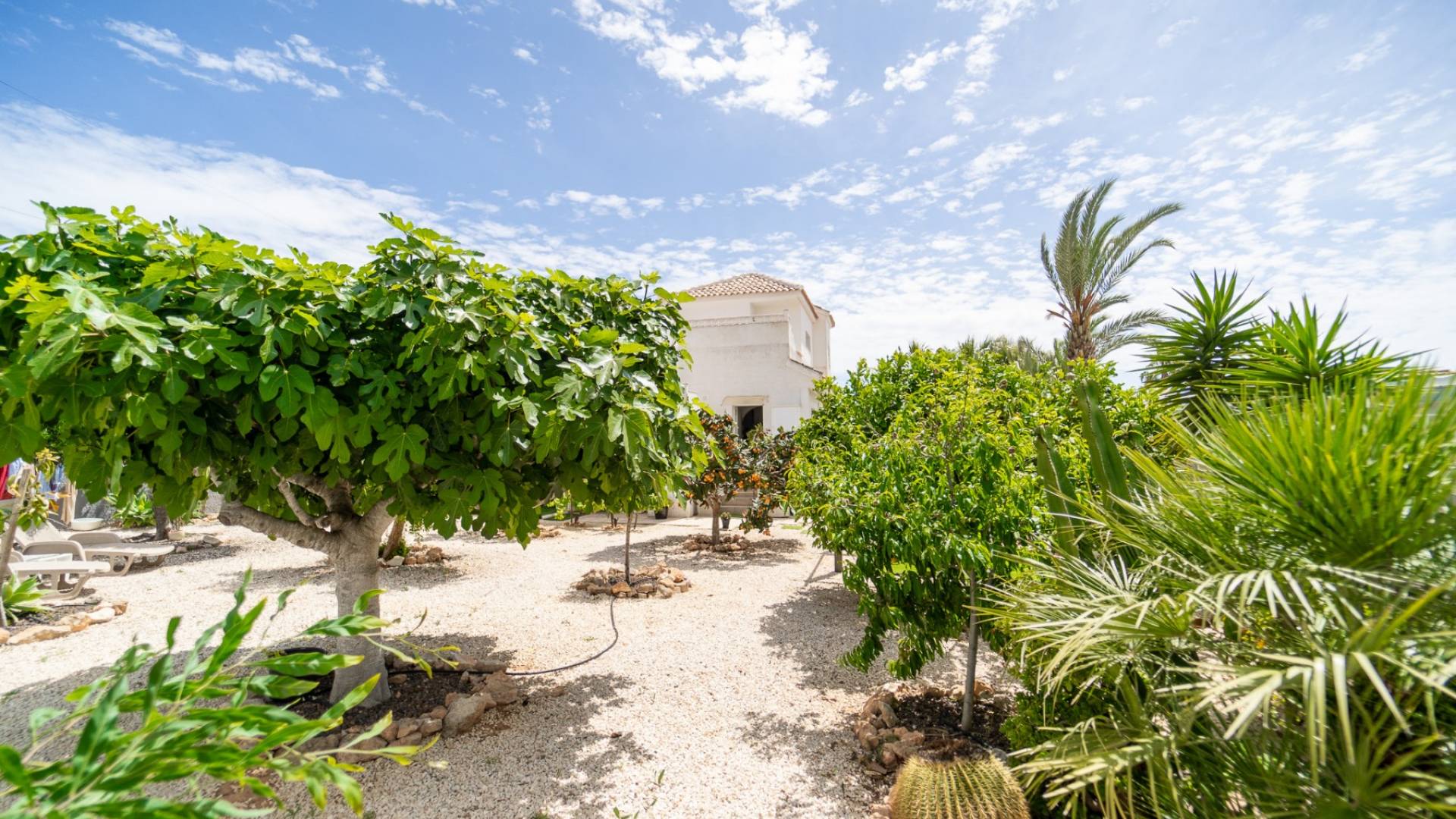 Second hand - Villa - Detached - Torrevieja - La Siesta - El Salado - Torreta