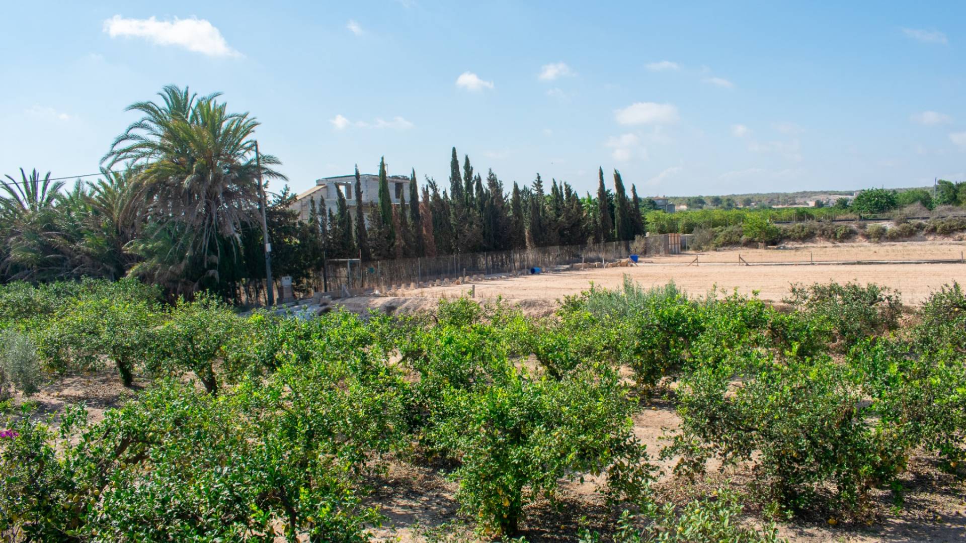 Second hand - Villa - Guardamar del Segura - El Raso